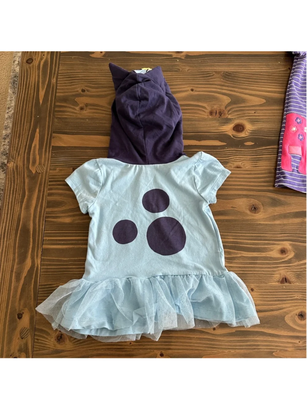 Girls Clothing Lot 2T Nike Bluey Dress Swimsuit Corgi Dino 5 Pc